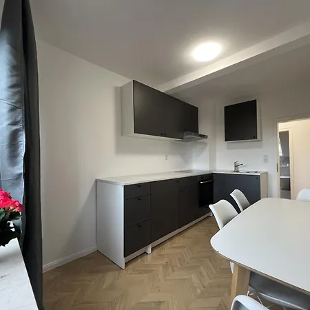 Apartamento Monteur Und Familienapt 4 Zi Pfargasse 16 *